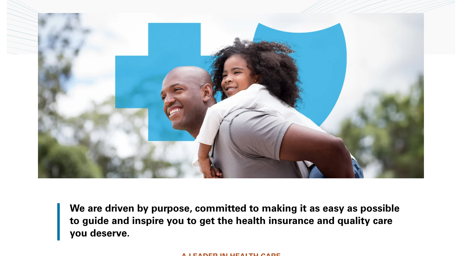 Blue Cross Blue Shield